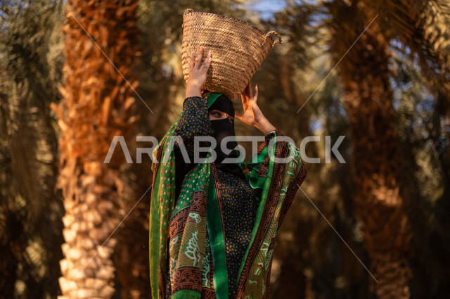 مشاركة المرأة في مواسم حصاد التمور، جني التمور في المزرعة، امرأة عربية خليجية سعودية ترتدي الزي الشعبي التقليدي والبرقع تتجول في مزرعة النخيل السعودي وتحمل على رأسها سلة من الخوص مليئة بالبلح الطازج، محاصيل ومنتجات زراعية محلية وطنية، مهن تقليدية سعودية