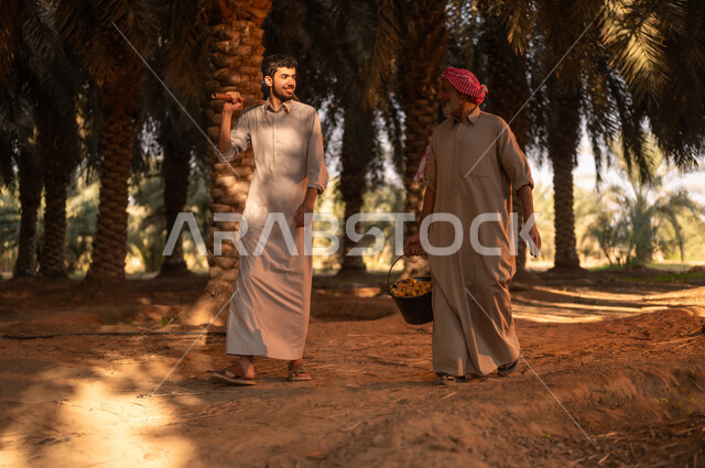 محاصيل زراعية محلية، موسم حصاد التمور في المملكة، توارث مهنة الزراعة من الأجداد، فلاح عربي خليجي سعودي يرتدي الثوب والعمامة يحمل بيده البلح ويقوم بالتحدث مع ابنه، التجول في مزرعة النخيل بإيماءات السعادة والبهجة، شاب يقوم بوضع أداة الحفر على كتفه في مزارع النخيل