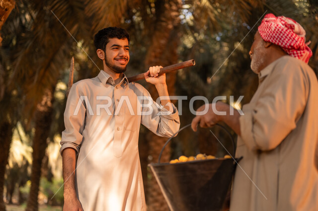 موسم حصاد التمور في المملكة، توارث مهنة الزراعة من الأجداد، فلاح عربي خليجي سعودي يرتدي الثوب والعمامة يحمل بيده البلح ويقوم بالتحدث مع ابنه في مزرعة النخيل، شاب يقوم بوضع أداة الحفر على كتفه في مزارع النخيل، محاصيل زراعية محلية، مهن تقليدية زراعية سعودية