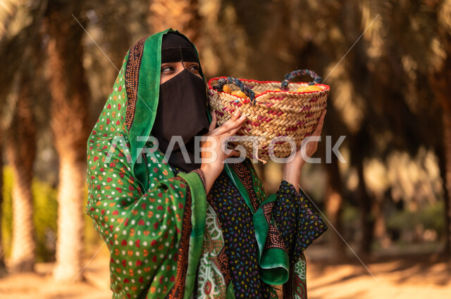 Women’s participation in date harvesting seasons, spending time working outdoors, date harvesting season on the farm, a Saudi Gulf Arab woman wearing traditional folk dress and a burqa carrying on her shoulder a wicker basket filled with fresh dates, a Saudi date palm farm, national local agricultural crops and products