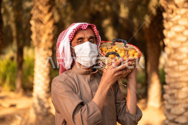 Season of harvesting dates on the farm, spending time working outdoors, a Saudi Arabian Gulf farmer wearing a thobe and turban and wearing a mask to protect from dust, looking at the camera and carrying on his shoulder a basket containing date fruits, agriculture and taking care of fruit trees on the Kingdom’s farms, local agricultural crops