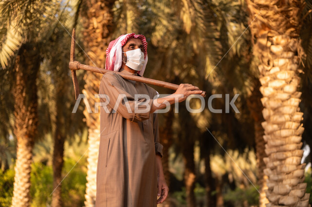 استخدام أدوات شعبية قديمة في العمل في المزرعة، الزراعة والاهتمام بالأشجار المثمرة في مزارع المملكة، قضاء وقت العمل في الهواء الطلق، فلاح عربي خليجي سعودي يرتدي الثوب والعمامة ويضع الكمامة للحماية من الغبار ويحمل على كتفه أداة الحفر، مهن تقليدية سعودية