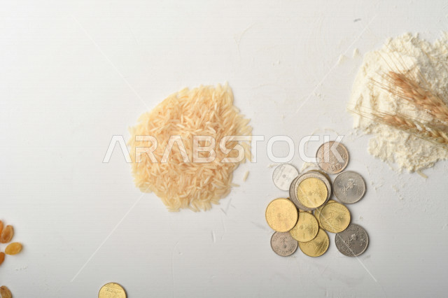 Set of rice, raisins, wheat, flour and coins on white background