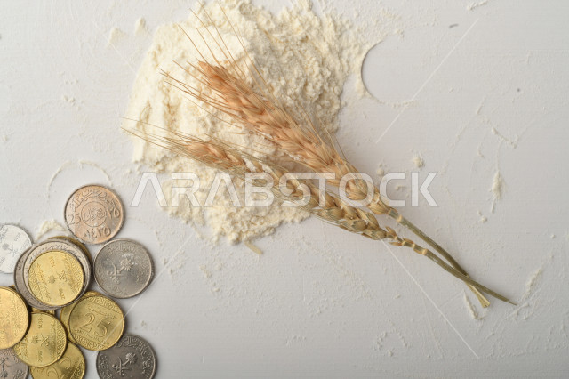 مجموعة من الأرز والزبيب والقمح والطحين والعملات المعدنية على خلفية بيضاء