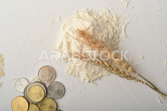 Set of rice, raisins, wheat, flour and coins on white background