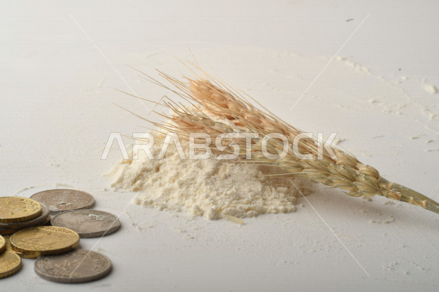 Set of rice, raisins, wheat, flour and coins on white background