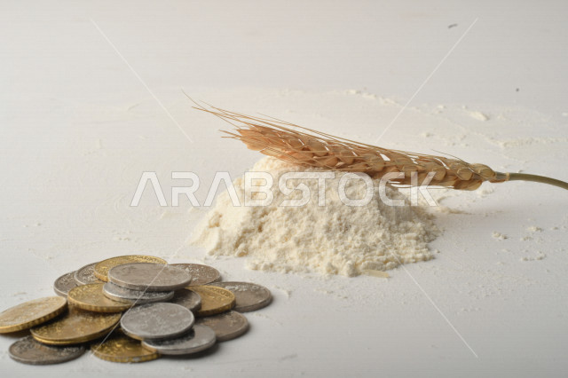 مجموعة من الأرز والزبيب والقمح والطحين والعملات المعدنية على خلفية بيضاء