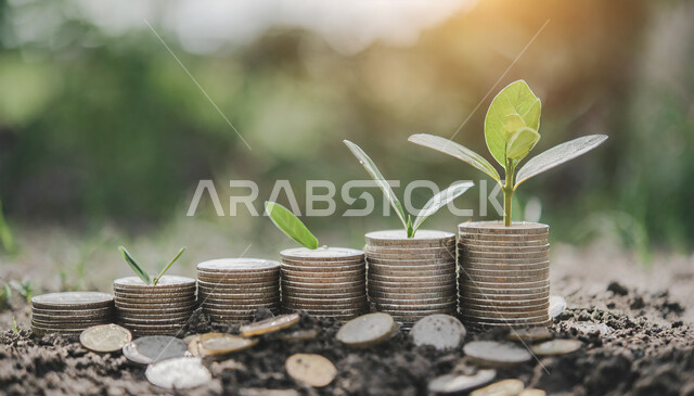 إدخار وتوفير الأموال، نبتة صغيرة في تربتها الخصبة، صورة مقربة لمجموعة من العملات المعدنية بين التراب، النمو وتقدم الأرباح المالية، الاستثمار للمشاريع المستقبلية السعودية