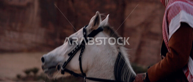 علاقة أبناء الوطن بالخيل السعودي الأصيل، ممارسة هواية ركوب الخيل، صورة مقربة لرجل عربي خليجي سعودي يمتطي فرس، التجول في الطبيعة الصحراوية على ظهر الحصان، اتباع تقاليد الأجداد برعاية وتربية الجياد، تشكيلات وتكوينات صخرية في صحراء السعودية