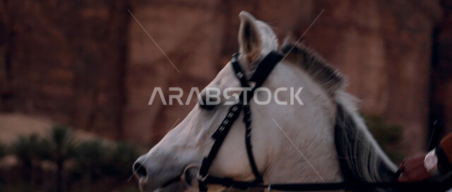 Practicing the hobby of horse riding, the relationship of the people of the country with purebred Saudi horses, a close-up of the hand of a Saudi Gulf Arab man riding a horse, wandering through the desert nature on the back of a horse, following the traditions of our ancestors by caring for and raising horses, rock formations and formations in the As-Saouiya desert.
