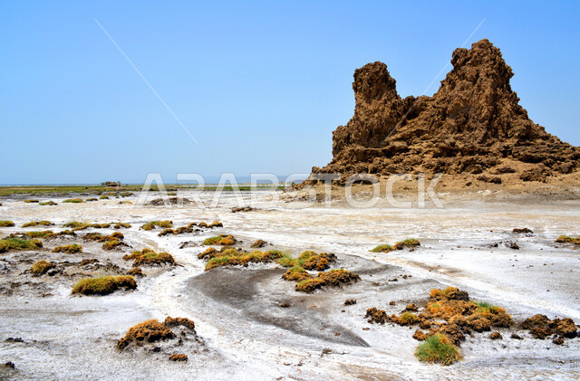 التشكيلات والتكوينات الصخرية على سواحل البحر الاحمر، القمم والمرتفعات والجبال في مدينة جدة، المناطق الساحلية والنباتات البرية، معالم واماكن سياحية مشهورة في المملكة العربية السعودية