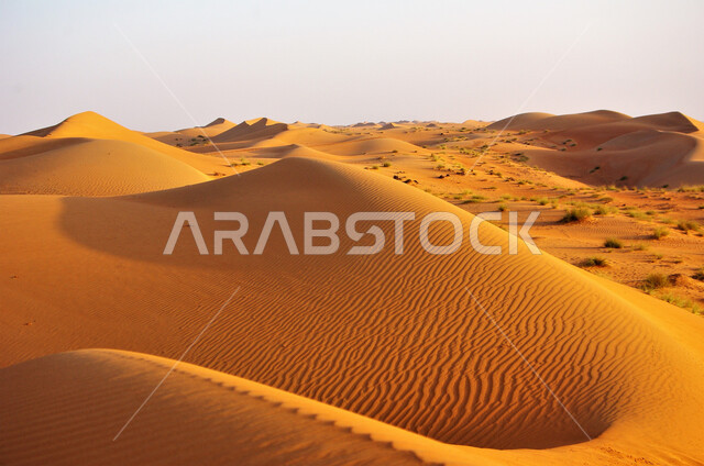 التشكيلات الرملية في المناطق الطبيعية الصحراوية في المملكة العربية السعودية، الكثبان والرمال الذهبية الناعمة في الاماكن الصحراوية، المعالم السياحية في المشهورة في صحراء الرياض