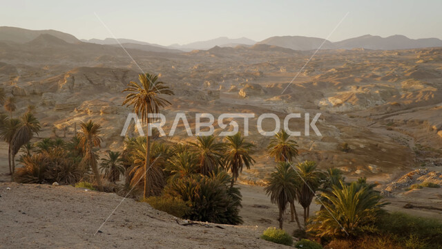 بقايا الهياكل والمباني والبيوت الطينية التقليدية والأشجار والنباتات الخضراء، قرية أشيقر التراثية في المملكة العربية السعودية، المعالم السياحية الشهيرة، مناطق الجذب السياحي من جميع أنحاء العالم، الآثار التاريخية القديمة في محافظة شقراء في مدينة الرياض