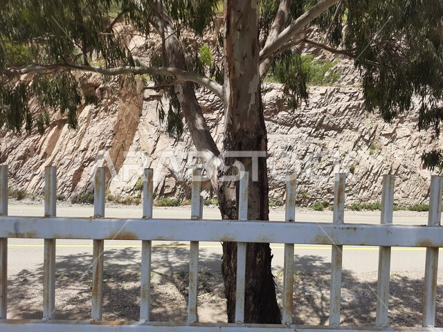 منظر التكوينات الجبلية الخضراء والأشجار والبيئة الطبيعية، مناطق وأماكن عائلية للتنزه والترفيه والمتعة، الاهتمام  بالحدائق والمنتزهات في المملكة العربية السعودية، حديقة عامة في منطقة المندق بمدينة الباحة، المعالم السياحية المشهورة