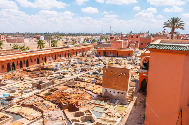 معالم وأماكن سياحية تراثية مشهورة ، الفن الهندسي المعماري على الطراز العربي للبيوت والمباني الحجرية الأثرية, المعالم التاريخية القديمة في المملكة العربية السعودية، الاهتمام بزراعة اشجار النخيل