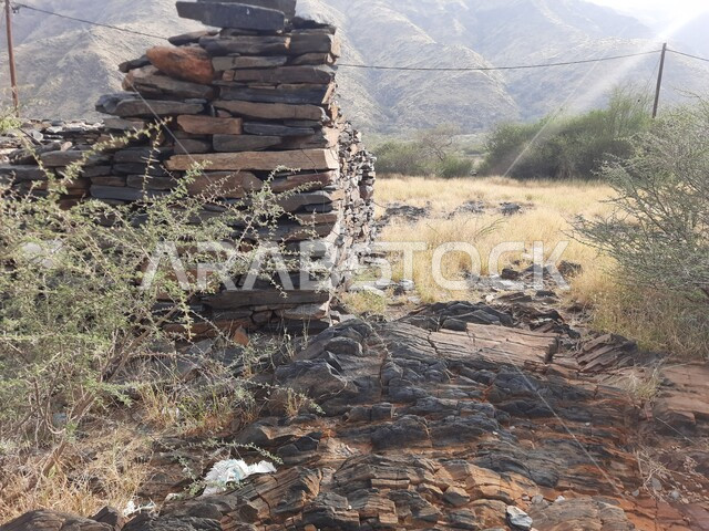 البيئة الجبلية بالمملكة العربية السعودية ، قريه مطير العيش التراثيه بمنطقه جرداء بن علي بمحافظه الحجره بمنطقه الباحه، الأماكن والمعالم السياحية المشهورة، النباتات والأعشاب البرية