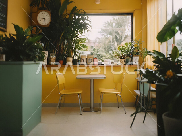 الديكورات والتصاميم الداخلية للكافيهات والمطاعم، صالة مقهى بديكورات وألوان جذابة، أثاث داخلي راقي باللون الاصفر لمطعم على الطراز الحديث في المملكة العربية السعودية، استخدام النبات الداخلي في الزينة