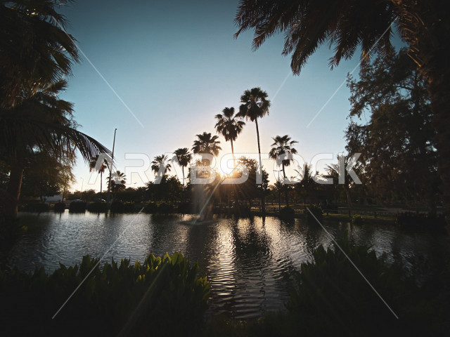 حديقة بحيرة ينبع الصناعية (حاضنة الطيور المهاجرة) الجميلة ذات المناظر الطبيعية الخلابة في المملكة العربية السعودية , جولة سياحية لمنتزه ينبع الصناعية (حديقة الطيور) الواسعة المحاطة بالنخيل والأشجار في المملكة , مناظر طبيعية خلابة