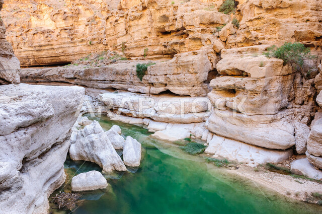 النباتات الصحراوية الشوكية والأعشاب في الأراضي البرية، صورة مقربة لجدول ماء وسط التكوينات الصخرية، الجبال والتضاريس الطبيعية المتنوعة، خلفية الطبيعة في المملكة العربية السعودية