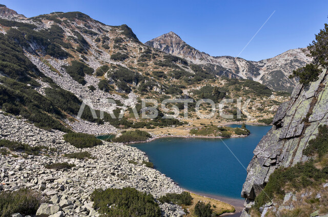 الجبال والتضاريس الطبيعية المتنوعة، خلفية الطبيعة في المملكة العربية السعودية، النباتات الصحراوية الشوكية والأعشاب في الأراضي البرية، صورة مقربة لجدول ماء وسط التكوينات الصخرية