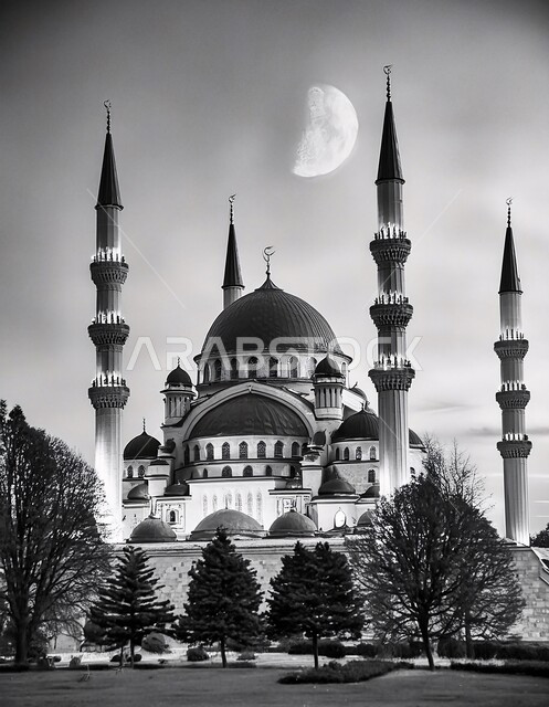 الاهتمام في زراعة النباتات و الاشجار الخضراء, ديكورات وتصاميم متميزة على الطراز الاسلامي للقبب والمآذن, أداء الفرائض والصلوات, مفهوم العبادة والتقرب إلى الله، صورة بالابيض و الاسود للفن الهندسي المعماري للمساجد، خلفيات دينية رمضانية