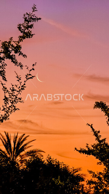 منظر السماء وقت غروب الشمس في ولاية صحم, الاهتمام في زراعة الاشجار و النباتات الخضراء, المناظر الطبيعية في سلطنة عمان, خلفية الهلال المضيء