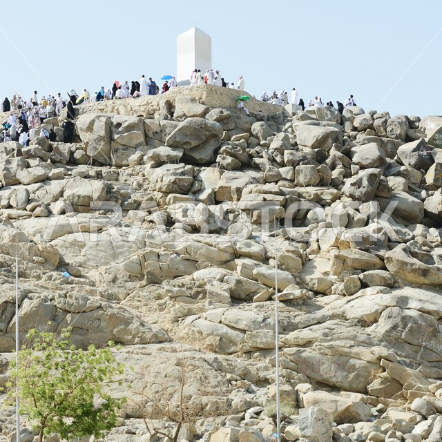 صعود حجاج بيت الله الحرام على جبل عرفات, إتمام مناسك الحج بالوقوف في جبل الرحمة, صورة من الأسفل للمسلمين المتوافدة إلى الجبل, وقفة يوم عرفة, الدعاء والتقرب إلى الله, معلم إسلامي مشهور في مكة المكرمة بالمملكة العربية السعودية