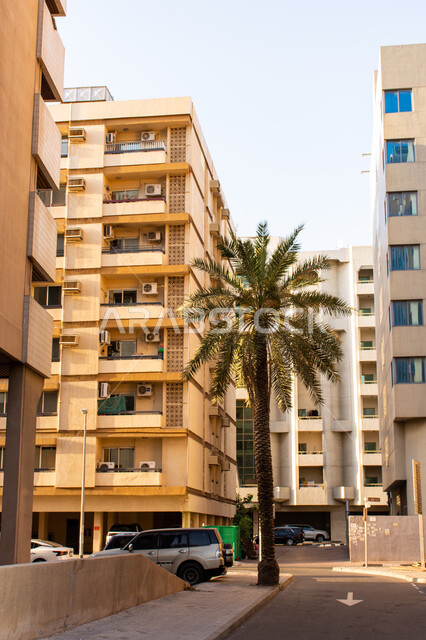 شجرة نخيل وسط تجمع سكني في منطقة الرقة بمدينة دبي، الفن الهندسي المعماري للأبراج وناطحات السحاب في الامارات العربية المتحدة، اماكن جذب واستقطاب السياح