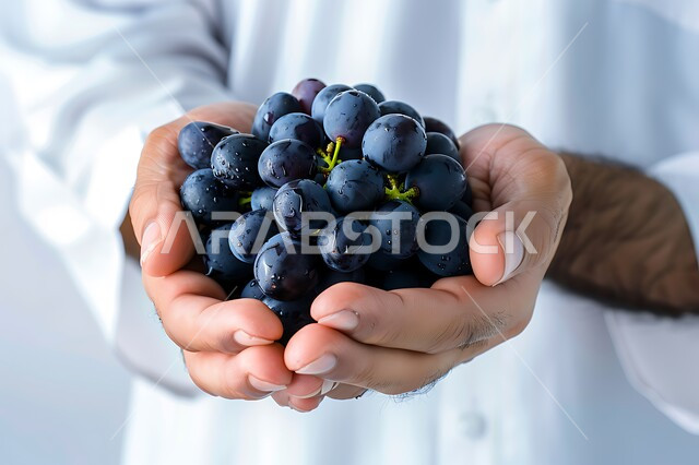اختيار أجود أنواع الفواكه الطازجة، المحاصيل الزراعية السعودية ذات الجودة العالية، بورتريه مقرب لشاب عربي خليجي سعودي يرتدي الثوب التقليدي يحمل بيده عنقود مليئ بحبات العنب، وجبة طعام صحية خفيفة، تلبية الحاجات الضرورية للجسم، خلفية بيضاء