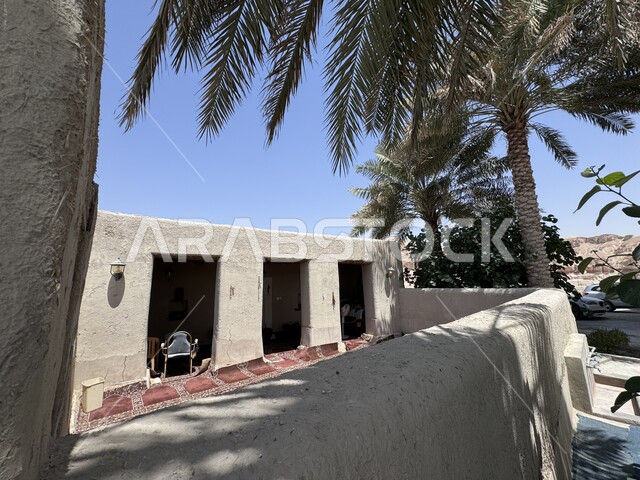 الطراز المعماري الإسلامي للمساجد التراثية في السعودية, المعالم والأماكن الدينية المشهورة في الإحساء, المباني الطينية القديمة, أشجار النخيل المحيطة بالمسجد الأثري, مكان للعبادة والتقرب من الله