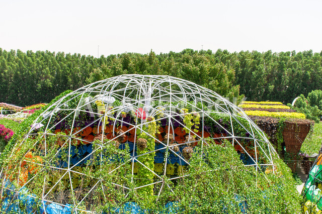 Miracle Garden, interest in planting trees and flowers in gardens, distinguished agricultural engineering in the United Arab Emirates, famous recreational tourist attractions, spending enjoyable times in public parks