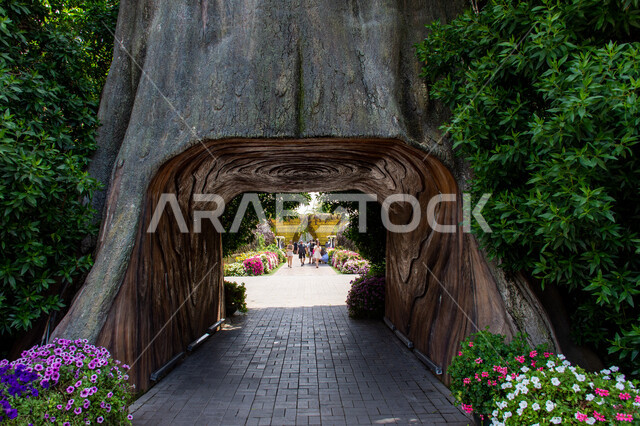 ممر وسط شجرة في حديقة ميركل غاردن، الاهتمام بزراعة الاشجار والورود في الحدائق، الهندسة الزراعية المتميزة في الإمارات العربية المتحدة، معالم سياحية ترفيهية مشهورة، قضاء اوقات ممتعة في الحدائق العامة