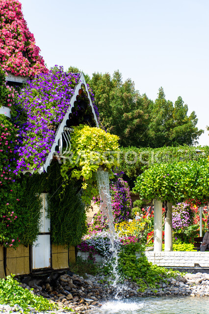 Interest in planting trees and flowers in gardens, distinguished agricultural engineering in the United Arab Emirates, famous recreational tourist attractions, spending enjoyable times in public parks, a model of a palace made of flowers in the Miracle Garden