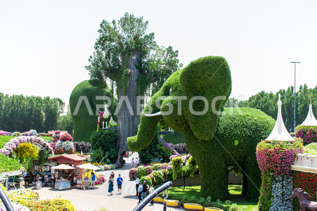 مجسم مصنوع من الاعشاب الخضراء على شكل فيل في الحديقة المعجزة في دبي ,الاهتمام بزراعة الازهار والورود في الحدائق, الهندسة الزراعية المتميزة في الإمارات العربية المتحدة, أماكن سياحية ترفيهية مشهورة، قضاء اوقات ممتعة في الحدائق