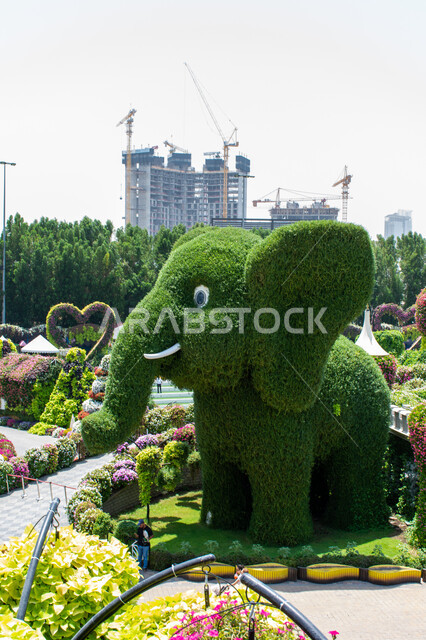 الاهتمام بزراعة الازهار والورود في الحدائق, الهندسة الزراعية المتميزة في الإمارات العربية المتحدة, أماكن سياحية ترفيهية مشهورة، قضاء اوقات ممتعة في الحدائق, مجسم مصنوع من الاعشاب الخضراء على شكل فيل في الحديقة المعجزة في دبي