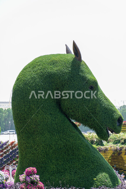 الهندسة الزراعية المتميزة في الإمارات العربية المتحدة, وجهة مثالية سياحية ترفيهية مشهورة ,قضاء اوقات ممتعة في الحدائق, صورة مقربة لمجسم عملاق مصنوع من الاعشاب الخضراء على شكل رأس حصان في الحديقة المعجزة في دبي ,الاهتمام بزراعة الازهار والورود في الحدائق