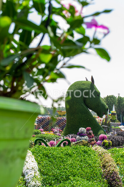 مجسم عملاق مصنوع من الاعشاب الخضراء على شكل رأس حصان في الحديقة المعجزة في دبي ,الهندسة الزراعية المتميزة في الإمارات العربية المتحدة, وجهة مثالية سياحية ترفيهية مشهورة ,قضاء اوقات ممتعة في الحدائق, الاهتمام بزراعة الازهار والورود في الحدائق