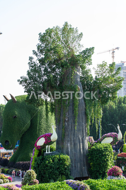 الاهتمام بزراعة الازهار والورود في الحدائق ,الهندسة الزراعية المتميزة في الإمارات العربية المتحدة, وجهة مثالية سياحية ترفيهية مشهورة ,قضاء اوقات ممتعة في الحدائق, صورة مقربة لمجسم عملاق مصنوع من الاعشاب الخضراء على شكل رأس حصان في الحديقة المعجزة في دبي