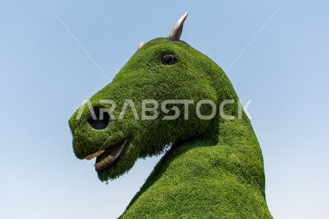 قضاء اوقات ممتعة في الحدائق, وجهة مثالية سياحية ترفيهية مشهورة ,الاهتمام بزراعة الازهار والورود في الحدائق ,الهندسة الزراعية المتميزة في الإمارات العربية المتحدة, صورة مقربة لمجسم عملاق مصنوع من الاعشاب الخضراء على شكل رأس حصان في الحديقة المعجزة في دبي