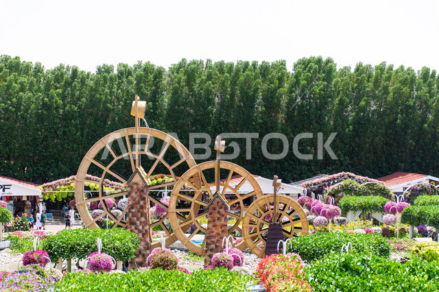 الهندسة الزراعية في الإمارات العربية المتحدة ,ناعورة مصنوعة من الخشب في الحديقة المعجزة في دبي, تحف تاريخية اثرية مميزة ,قضاء اوقات ممتعة في الحدائق, وجهة مثالية سياحية ترفيهية مشهورة ,الاهتمام بزراعة الازهار والورود في الحدائق