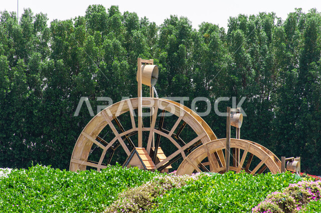 Distinctive historical antiquities, an ideal famous tourist and recreational destination, agricultural engineering in the United Arab Emirates, a waterwheel made of wood in the Miracle Garden in Dubai, spending enjoyable times in the gardens, paying attention to planting flowers and roses in the gardens