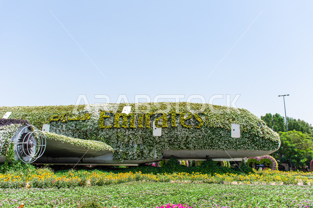 قضاء اوقات ممتعة في المناطق العامة, الهندسة الزراعية المتميزة في الإمارات العربية المتحدة, مجسم عملاق على شكل طائرة مغلفة بالزهور البيضاء في الحديقة المعجزة في دبي ،معالم سياحية ترفيهية مشهورة، الاهتمام بزراعة الازهار والورود في الحدائق