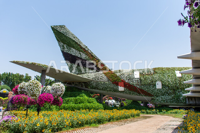 مجسم عملاق على شكل طائرة مغلفة بالزهور البيضاء في الحديقة المعجزة في دبي ،معالم سياحية ترفيهية مشهورة، الهندسة الزراعية المتميزة في الإمارات العربية المتحدة, قضاء اوقات ممتعة في المناطق العامة, الاهتمام بزراعة الازهار والورود في الحدائق