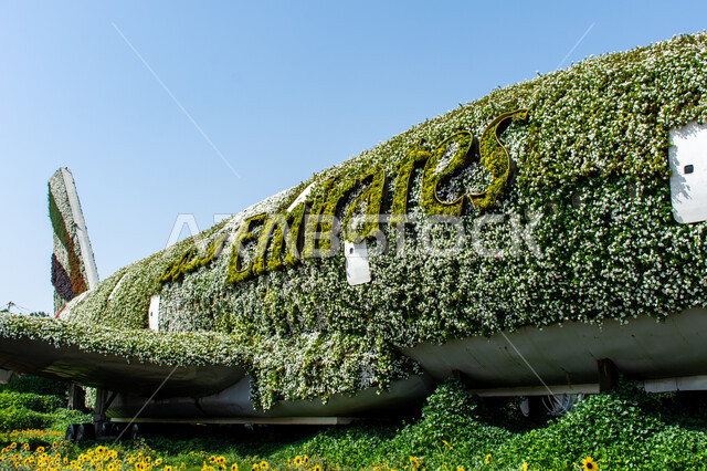 الهندسة الزراعية المتميزة في الإمارات العربية المتحدة ,قضاء اوقات ممتعة في الحدائق ,الاهتمام في زراعة الازهار والورود في الحدائق ,مجسم عملاق على شكل طائرة مغلفة بالزهور البيضاء في الحديقة المعجزة في دبي ،معالم سياحية ترفيهية مشهورة