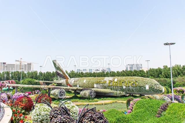 Interest in growing flowers and roses, spending enjoyable times in gardens, famous recreational tourist places, a giant plane-shaped model covered in white flowers in the Miracle Garden in Dubai, distinguished agricultural engineering in the United Arab Emirates