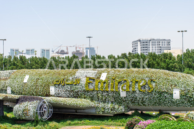 قضاء اوقات ممتعة في الحدائق ,أماكن سياحية ترفيهية مشهورة ,مجسم عملاق على شكل طائرة مغلفة بالزهور البيضاء في الحديقة المعجزة في دبي ،الهندسة الزراعية المتميزة في الإمارات العربية المتحدة ,الاهتمام في زراعة الازهار والورود