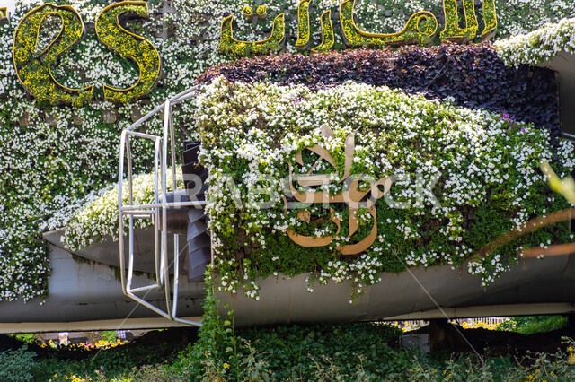 قضاء اوقات ممتعة في الحدائق ,أماكن سياحية ترفيهية مشهورة ,مجسم عملاق على شكل طائرة مغلفة بالزهور البيضاء في الحديقة المعجزة في دبي ،الهندسة الزراعية المتميزة في الإمارات العربية المتحدة ,الاهتمام في زراعة الازهار والورود