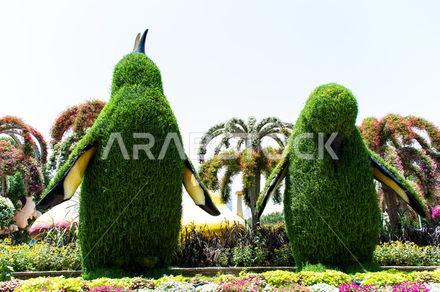 الاستمتاع بالمناظر الطبيعيه ,مجسم مصنوع من الأعشاب االخضراء على شكل طائر البطريق في الحديقة المعجزة في دبي، الاهتمام في زراعة الازهار والورود في الحدائق، معالم سياحية ترفيهية مشهورة، الهندسة الزراعية المتميزة في الإمارات العربية المتحدة