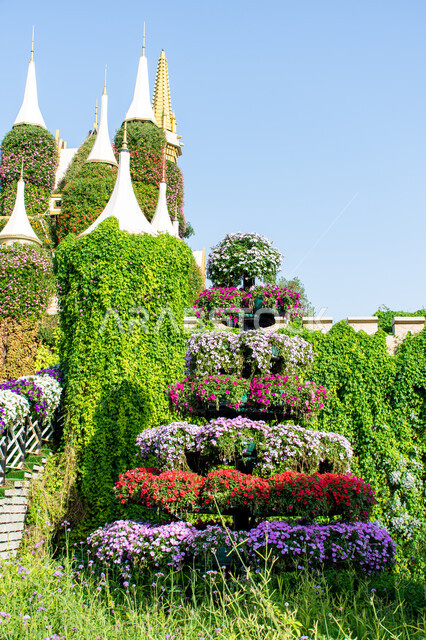 التصاميم المميزة في الحديقة المعجزة في دبي، الاهتمام في زراعة الازهار والورود في الحدائق، الهندسة الزراعية في الإمارات العربية المتحدة, معالم سياحية ترفيهية مشهورة, مقصد السياح من مختلف البلدان ,الاستمتاع بالمناظر الطبيعيه