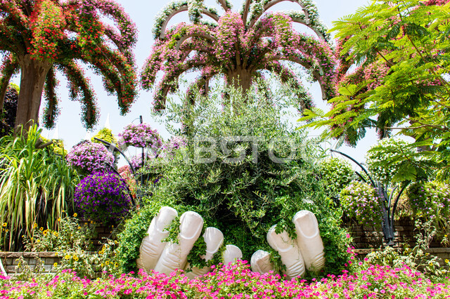 مقصد السياح من مختلف البلدان ,الاستمتاع بالمناظر الطبيعيه في الحديقة المعجزة في دبي، الاهتمام في زراعة الازهار والورود في الحدائق، الهندسة الزراعية المتميزة في الإمارات العربية المتحدة, معالم سياحية ترفيهية مشهورة